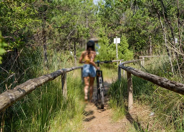 1 Bedroom Awesome In بيبيوني