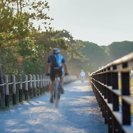 Apartment 1 Bedroom Awesome In *