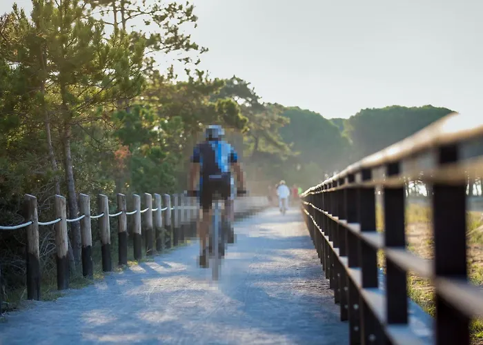 Apartamento 1 Bedroom Awesome In *